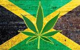 Cannabis Jamaican